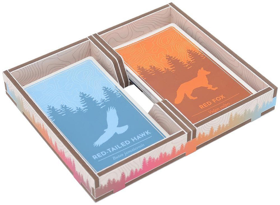 Cascadia Folded Space Box Insert