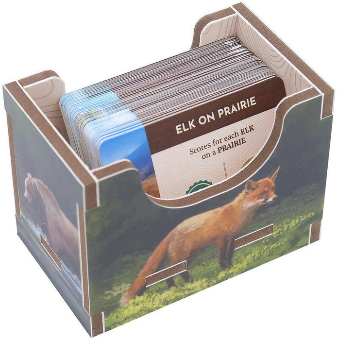 Cascadia Folded Space Box Insert