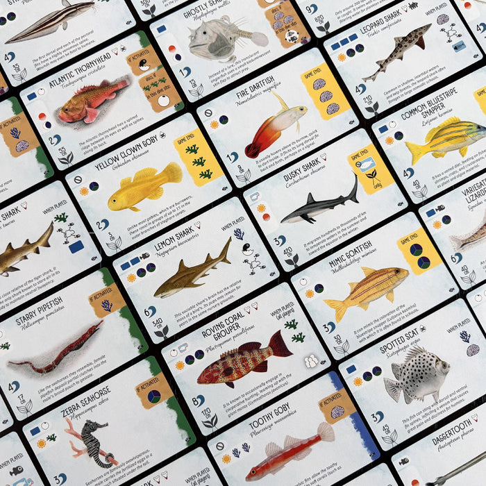 Finspan: Sharks and Reefs Expansion