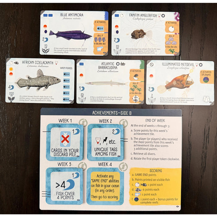 Finspan: Sharks and Reefs Expansion