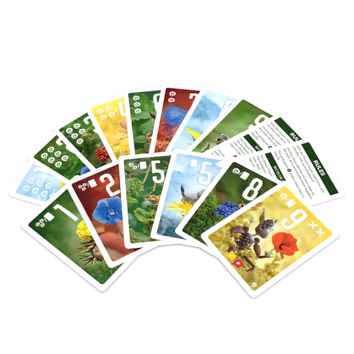 Pixies: Flower Power Expansion