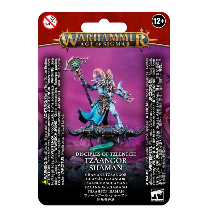 Warhammer Age of Sigmar:  Disciples of Tzeentch - Tzaangor Shaman